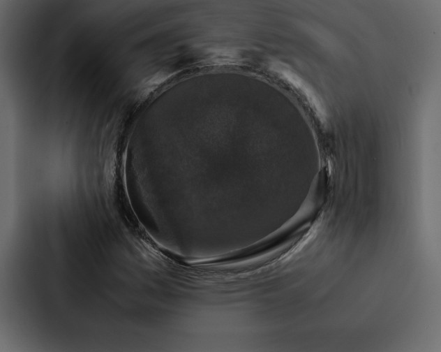 X0000088231161200705151447