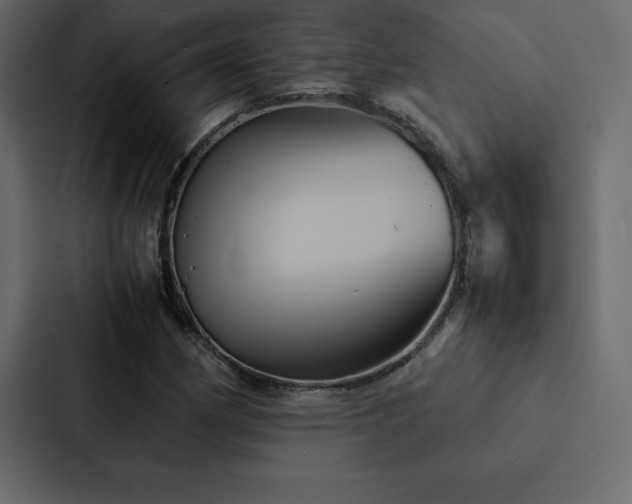 X0000088231162200705151447