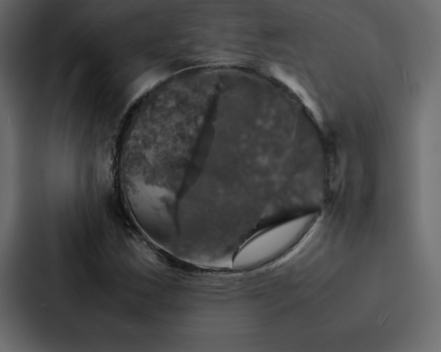 X0000088231163200705151447