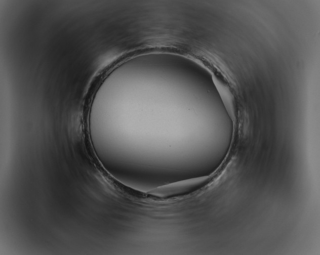 X0000088231164200705151447