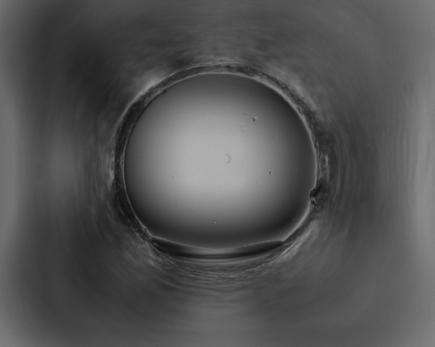 X0000088231165200705151447