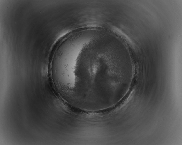 X0000088231166200705151447