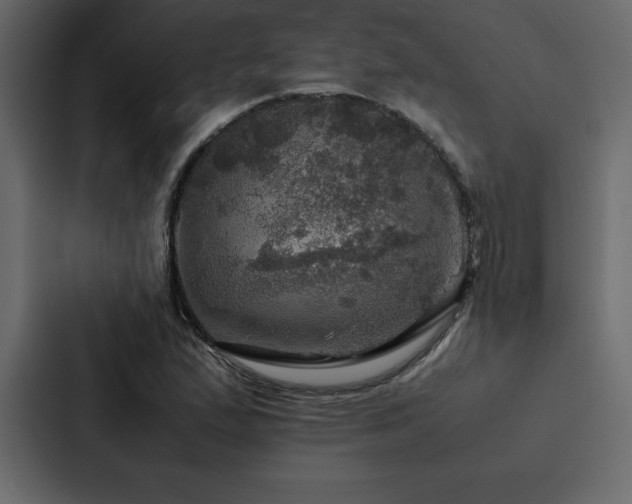X0000088231167200705151447
