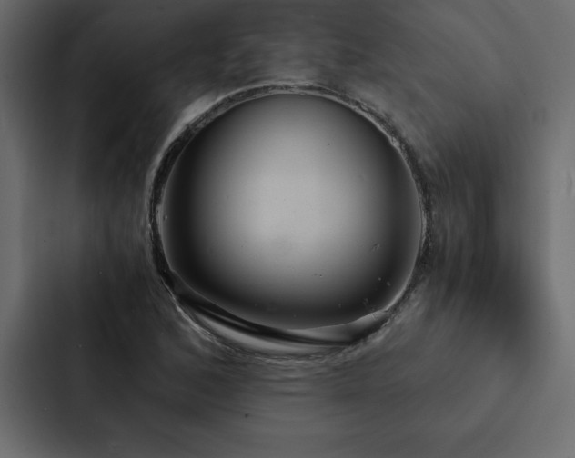 X0000088231168200705151447