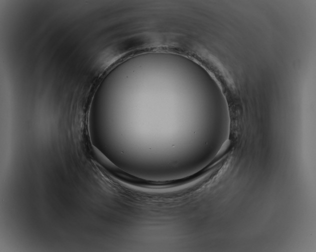 X0000088231169200705151447
