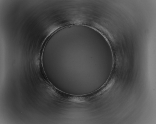 X0000088231170200705151447
