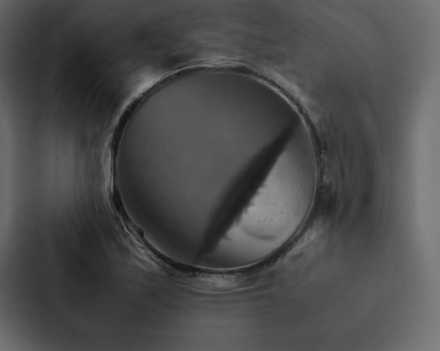 X0000088231171200705151447