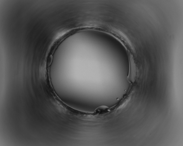 X0000088231172200705151447