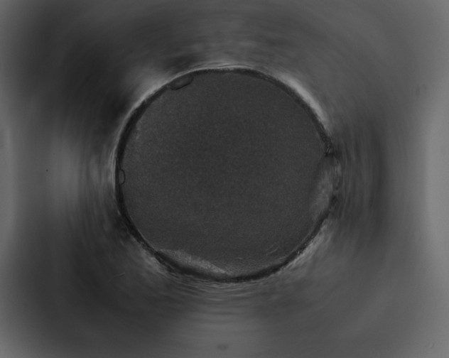 X0000088231173200705151447