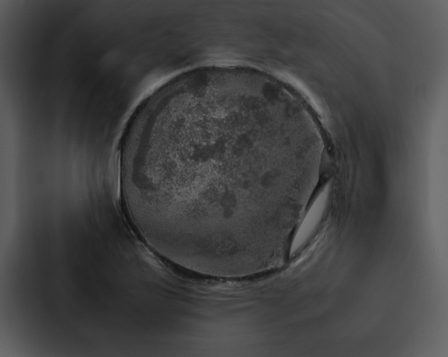 X0000088231175200705151447