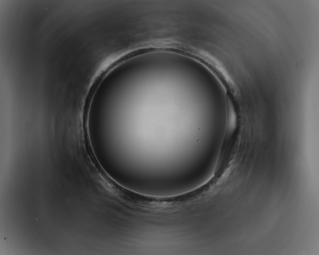 X0000088231176200705151447