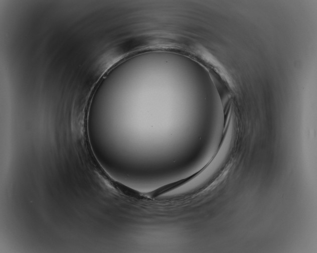 X0000088231177200705151447