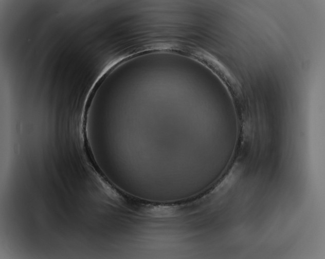 X0000088231178200705151447