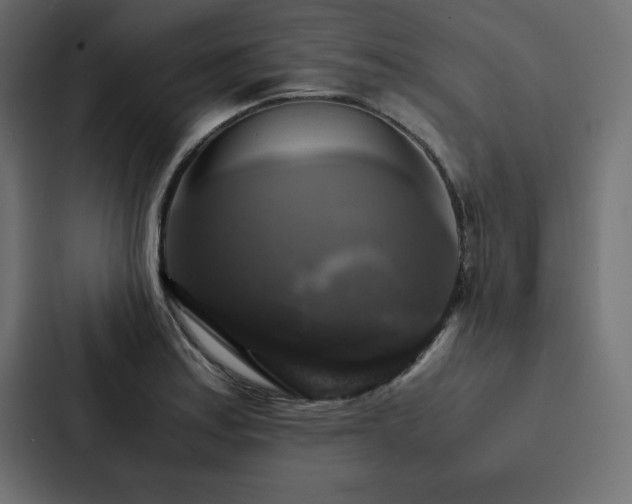 X0000088231179200705151447