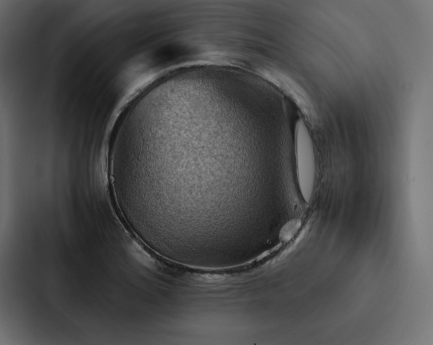 X0000088231180200705151447