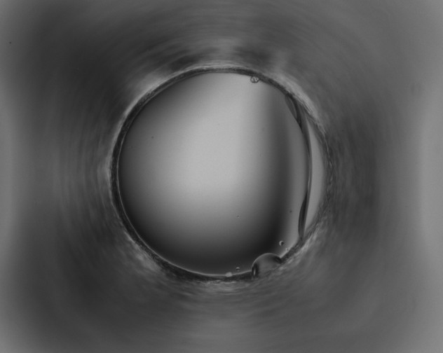 X0000088231181200705151447
