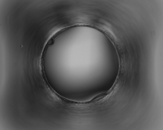 X0000088231182200705151447