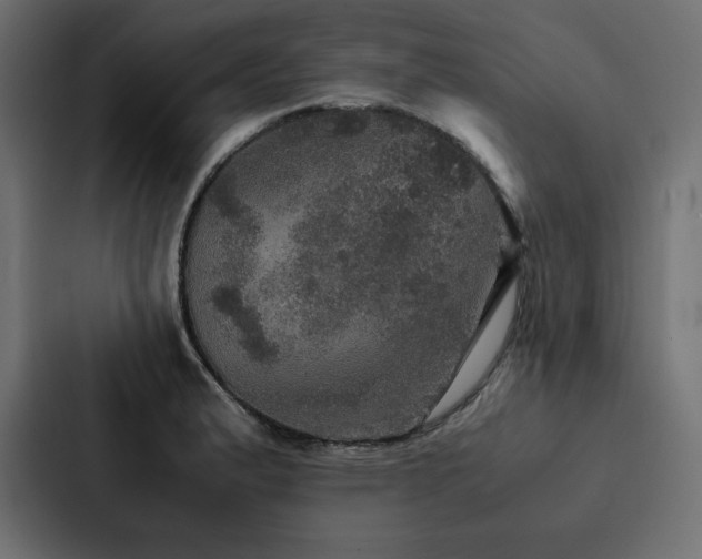 X0000088231183200705151447