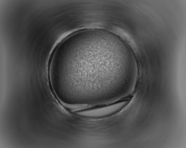 X0000088231184200705151447