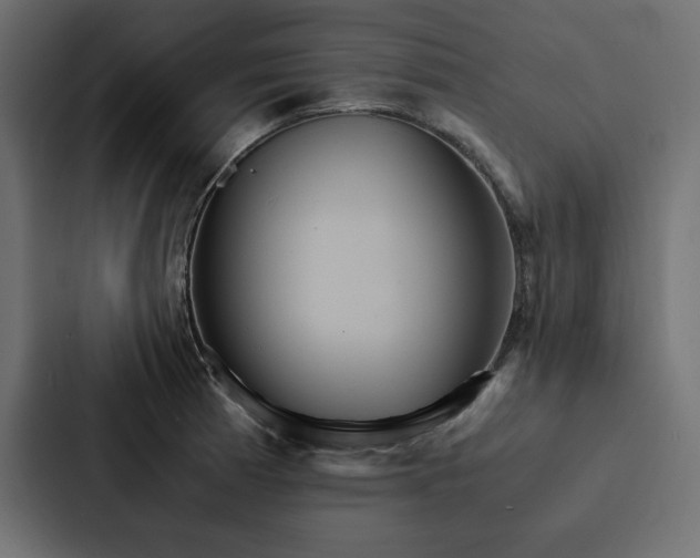 X0000088231185200705151447