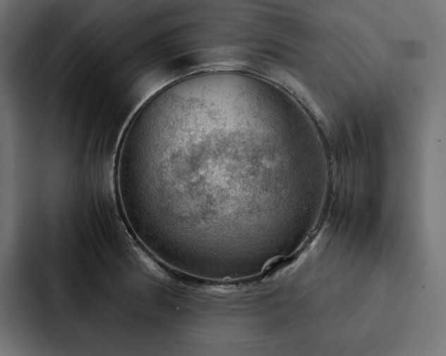 X0000088231186200705151447