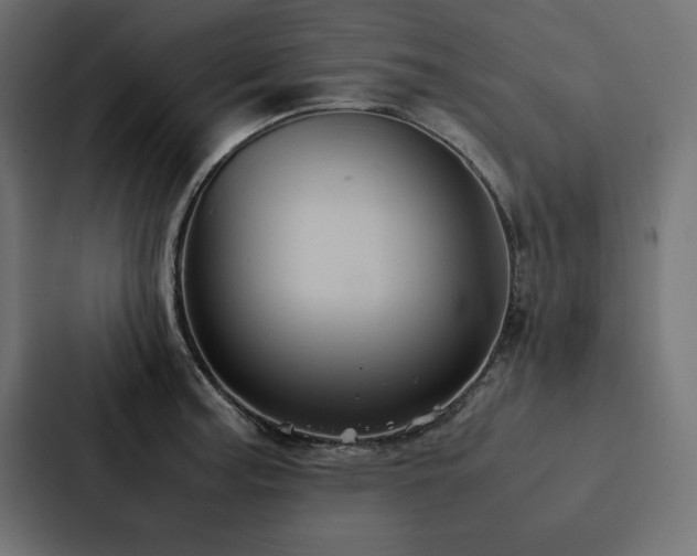 X0000088231187200705151447