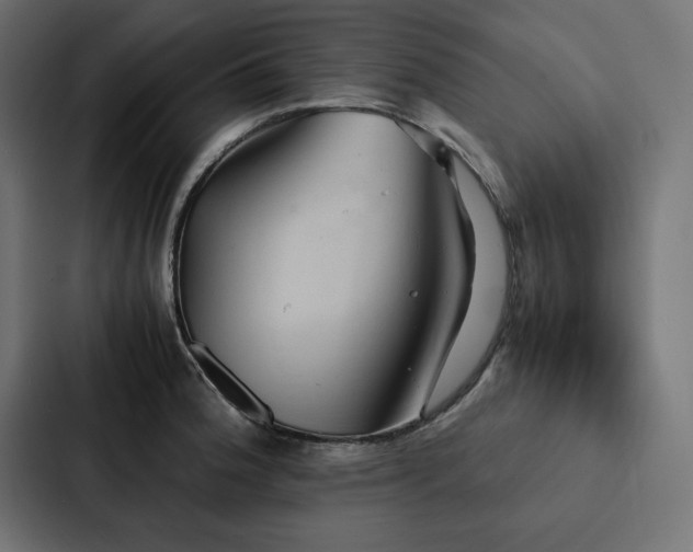 X0000088231188200705151447