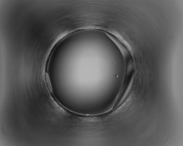 X0000088231189200705151447