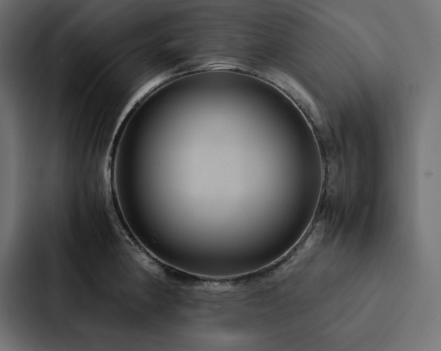 X0000088231190200705151446