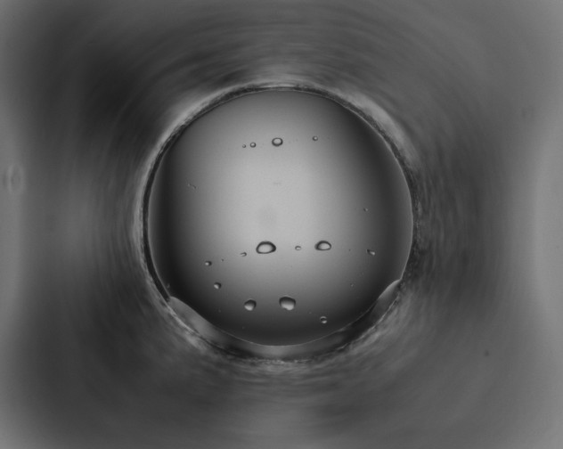 X0000088231191200705151446