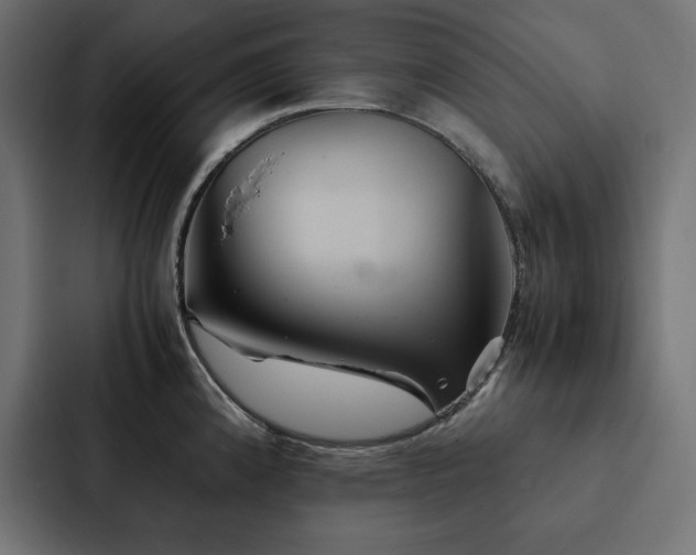 X0000088231192200705151446