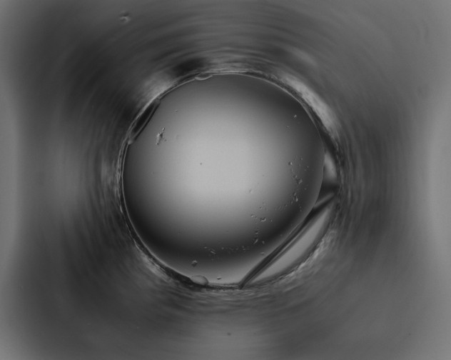 X0000088231193200705151446