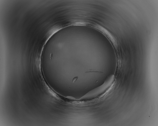 X0000088231194200705151446