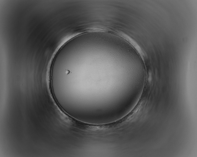X0000088231195200705151446