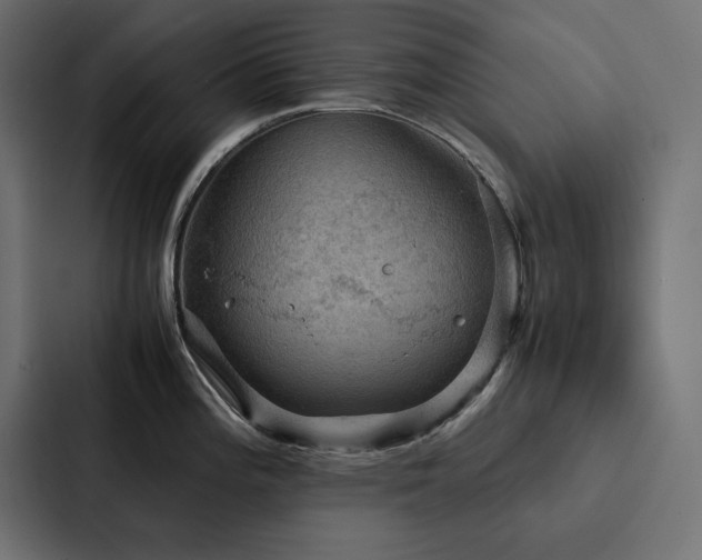 X0000088231196200705151446