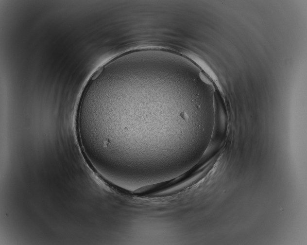 X0000088231197200705151446