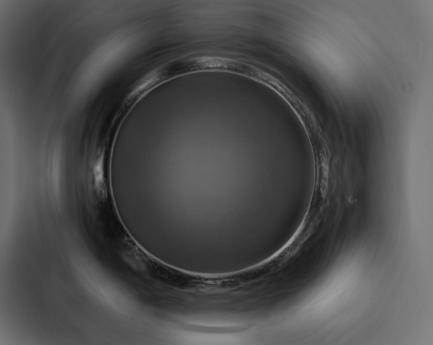 X0000088231198200705151446
