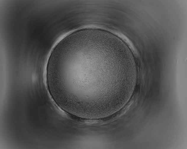 X0000088231199200705151446