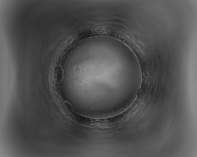 X0000088231201200705151446