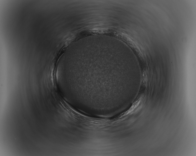 X0000088231202200705151446