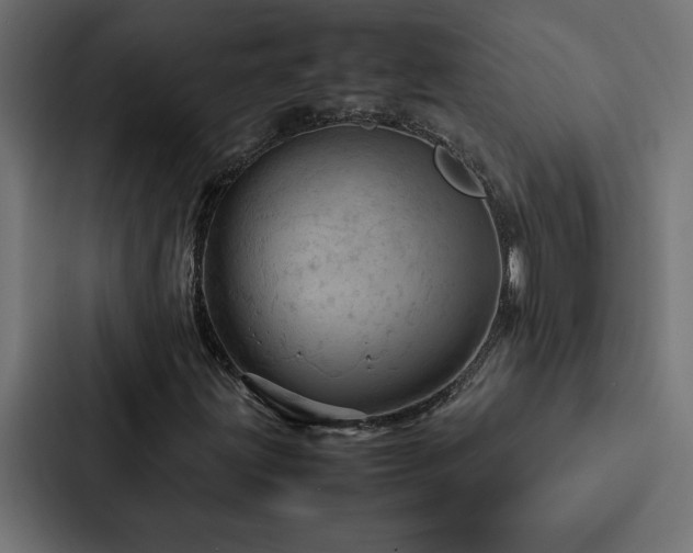 X0000088231203200705151446