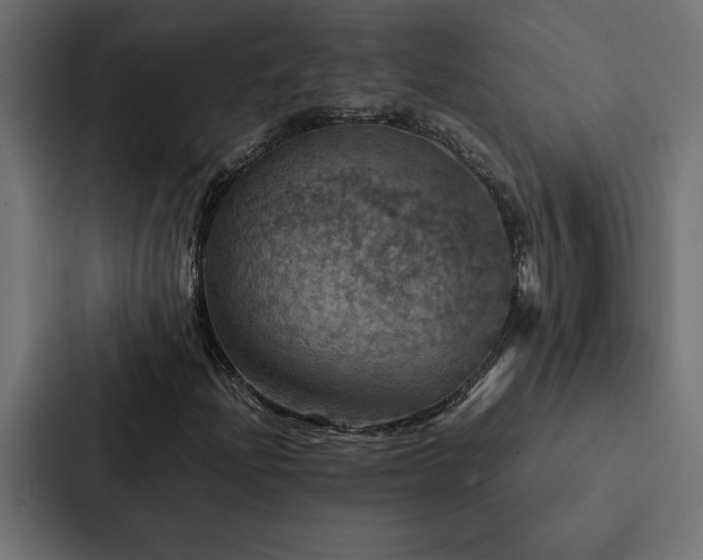 X0000088231204200705151446