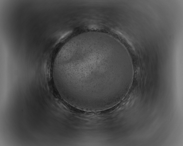 X0000088231205200705151446