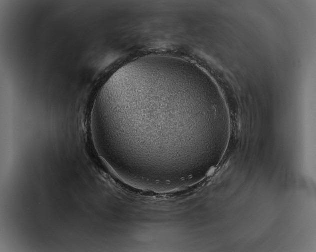 X0000088231206200705151446