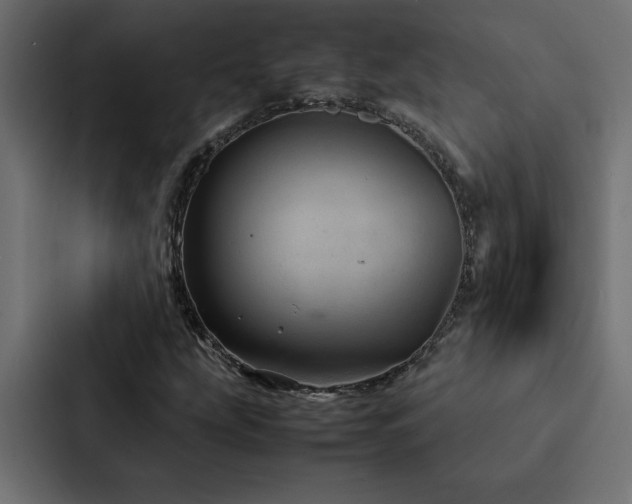 X0000088231207200705151446