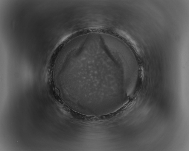 X0000088231208200705151446