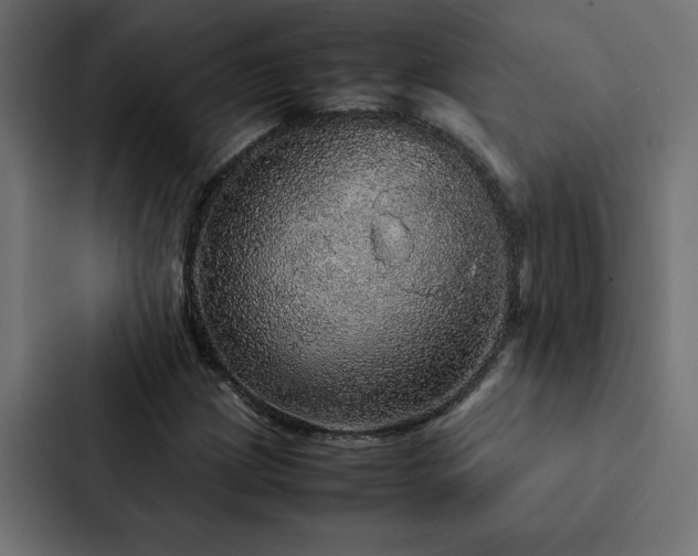 X0000088231209200705151446