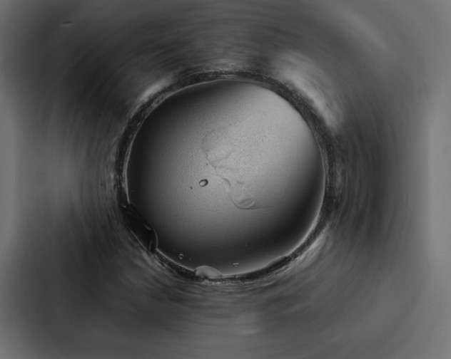 X0000088231210200705151446