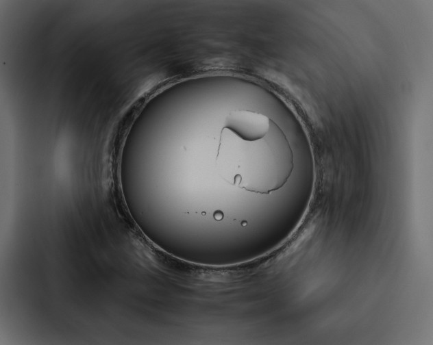 X0000088231211200705151446
