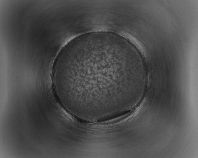X0000088231212200705151446